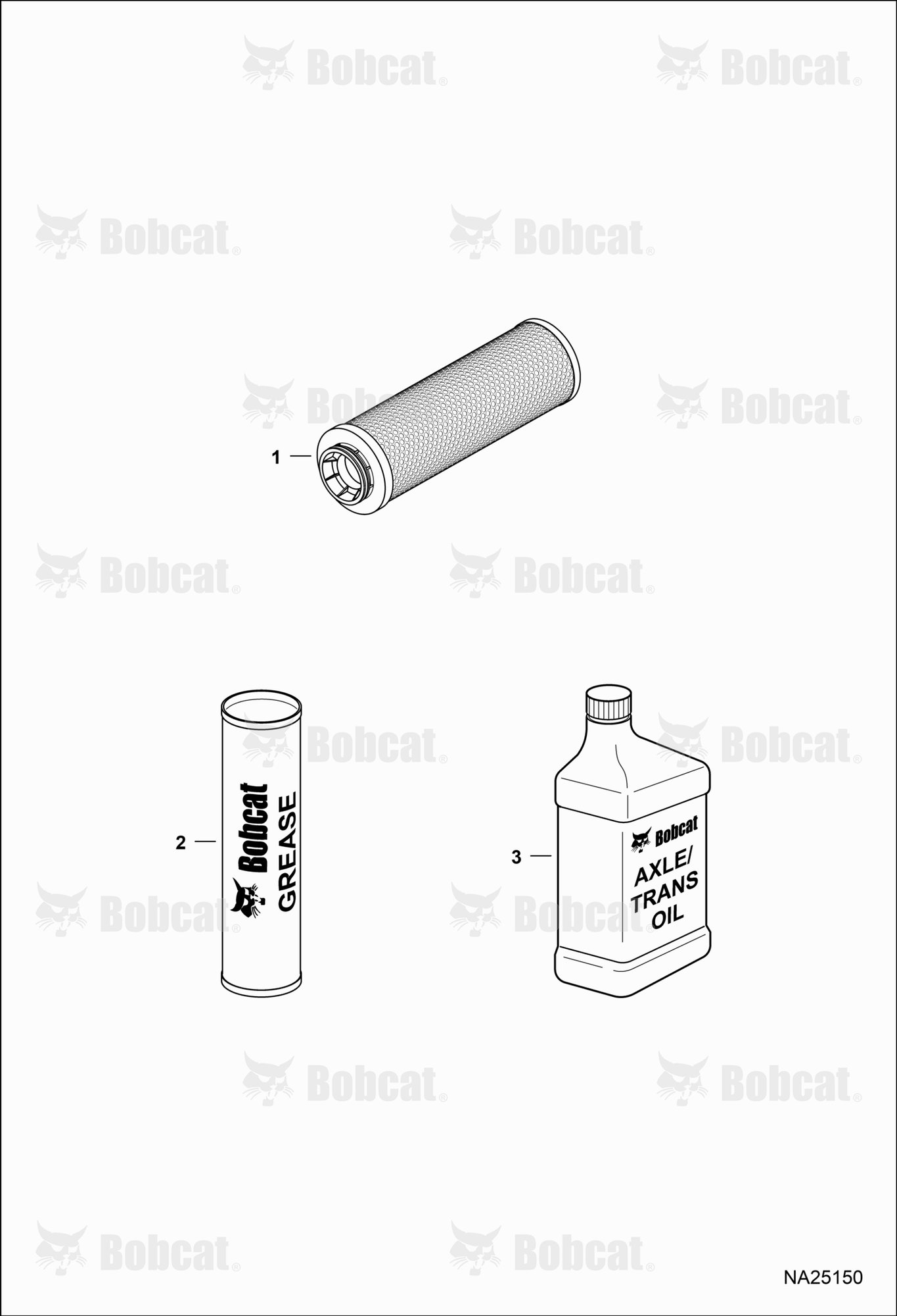 Scheduled Maintenance Items (First 100 Hours)
