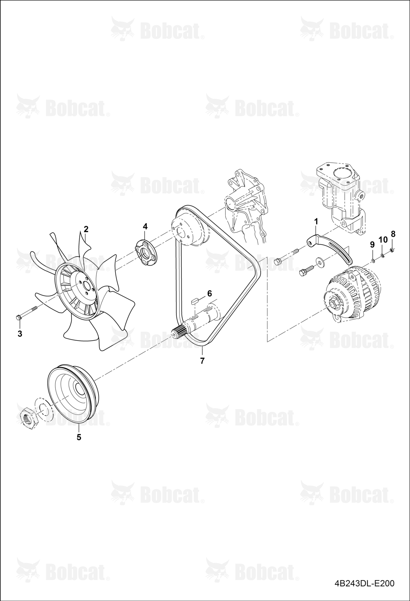 Dynamo Group