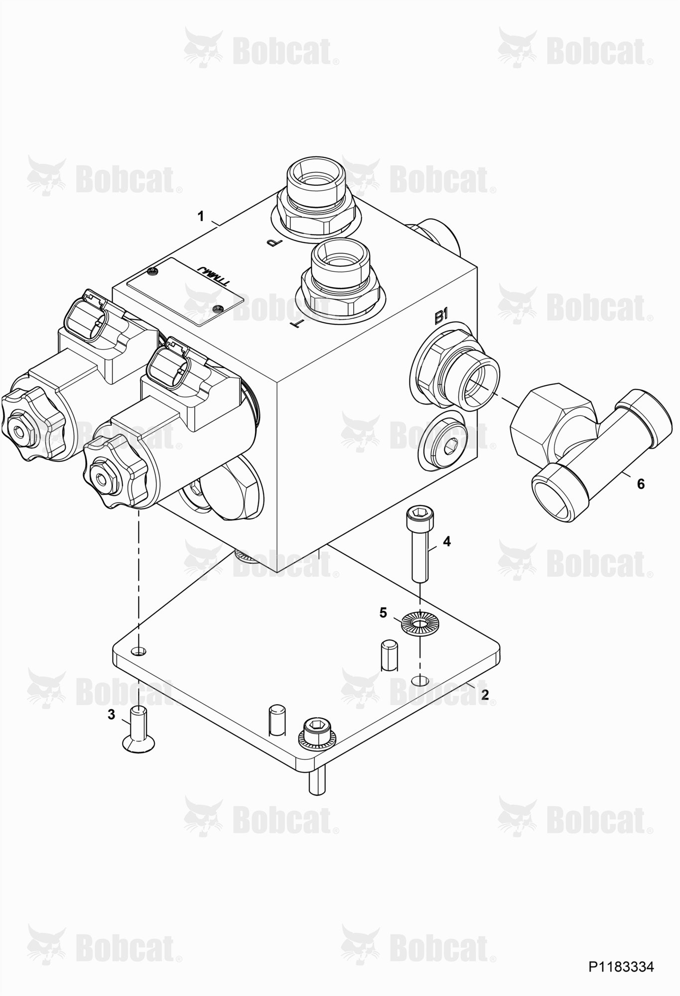 Vibration Control Valve