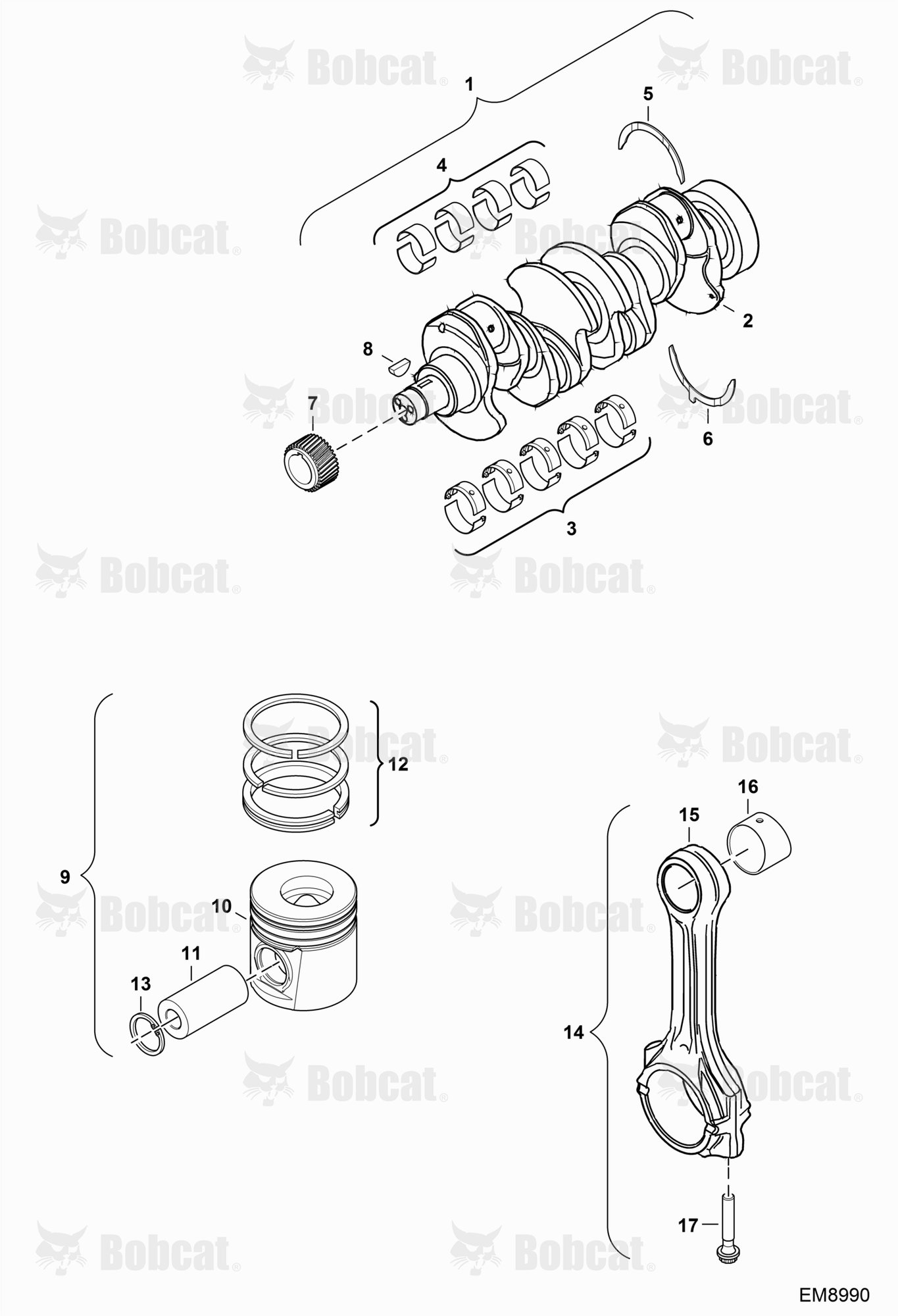 Piston & Crankshaft