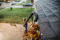 Thumbnail of STIHL BG 56 C-E Blower Action1