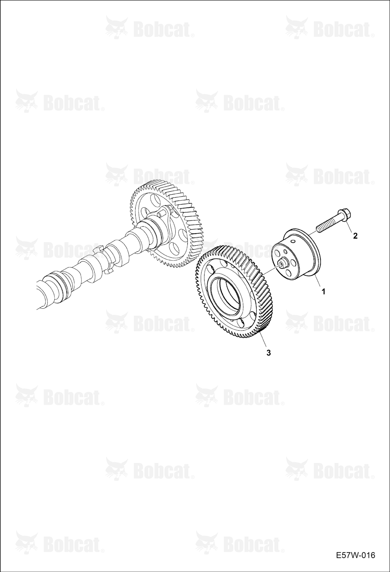 Camshaft Drive