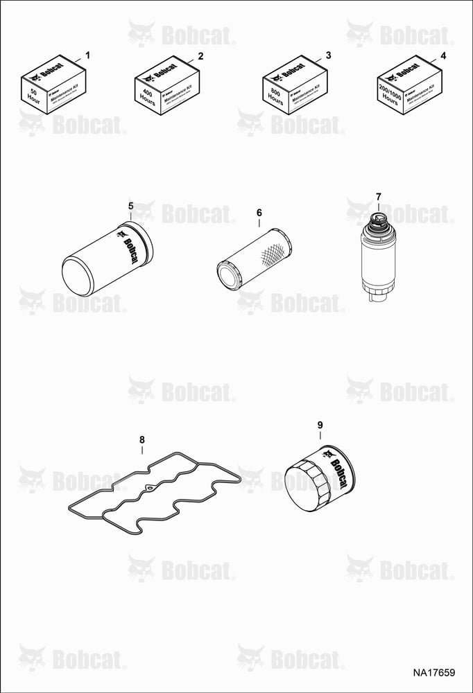 Maintenance Items (Scheduled Maintenance)