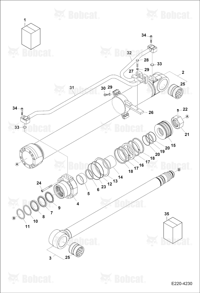 Boom Cylinder (LH)