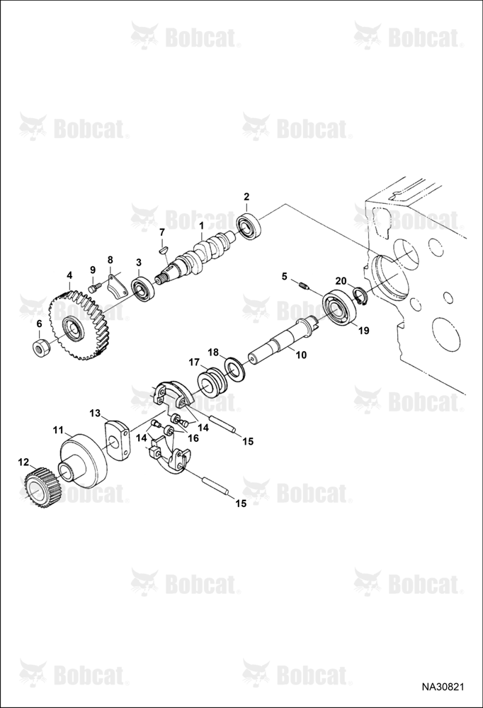 Fuel Camshaft