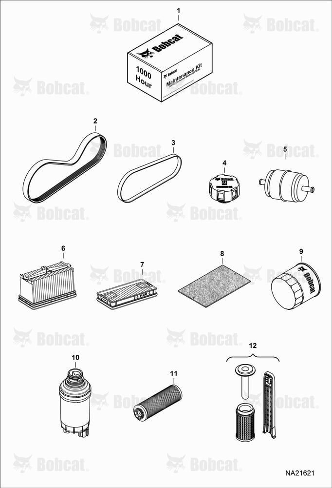Maintenance Items (Scheduled Maintenance)