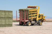 Thumbnail of New Holland Stackcruiser103.jpg
