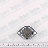 Thumbnail of Pid 832405 pt brg ball 1.00 pos 1