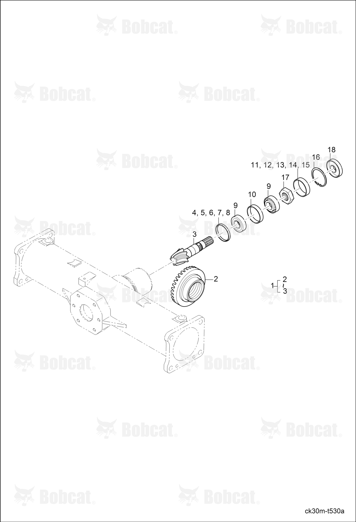 Bevel Pinion Shaft Group