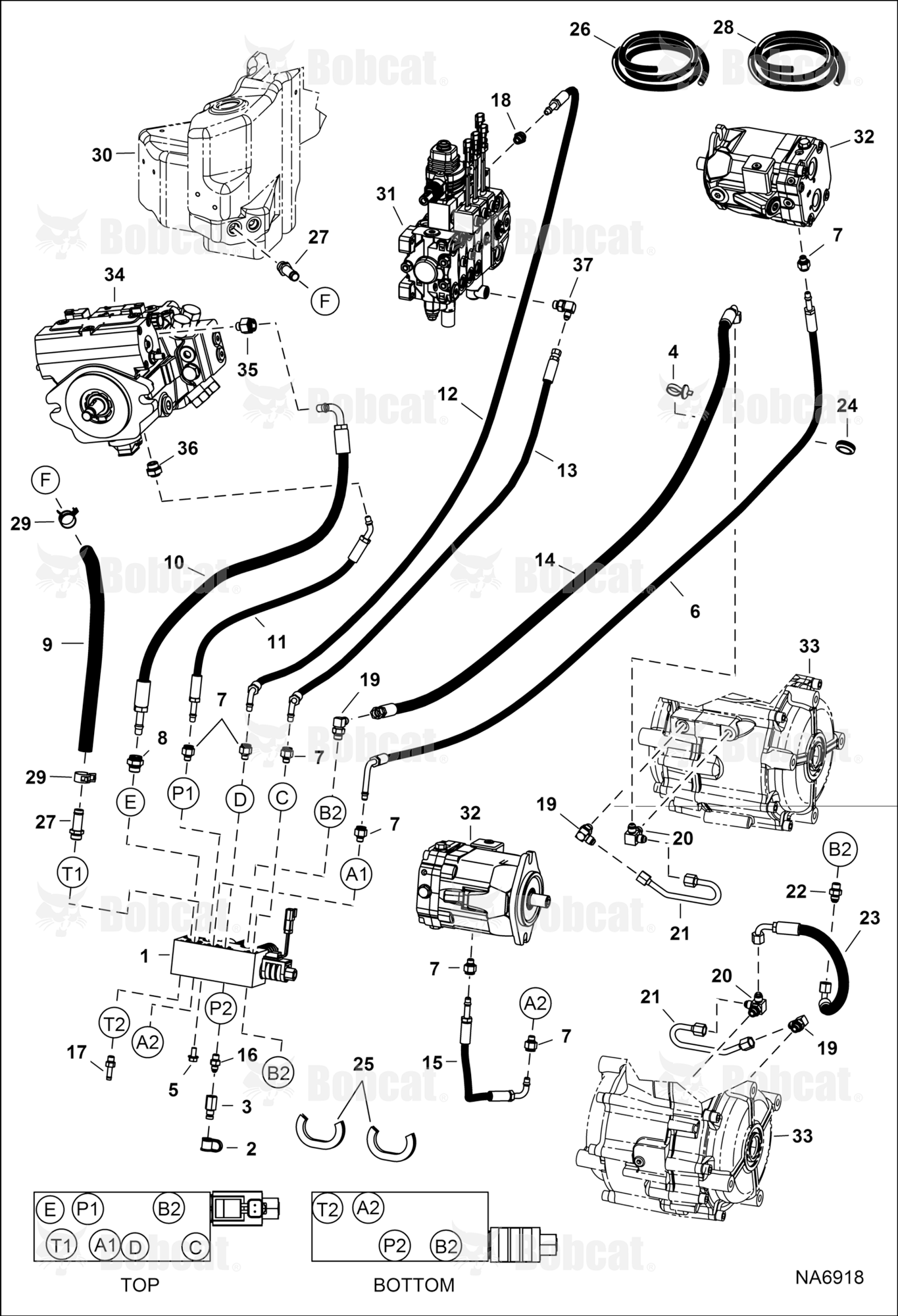 Hydraulic Circuitry (Pilot)