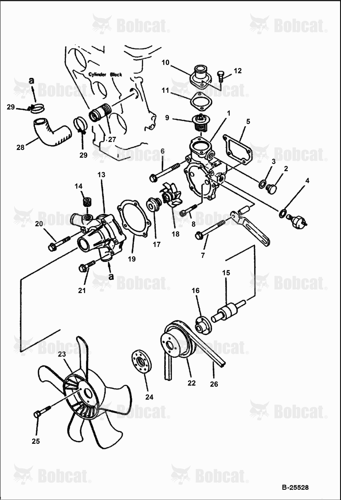 Water Pump and Cooling Fan