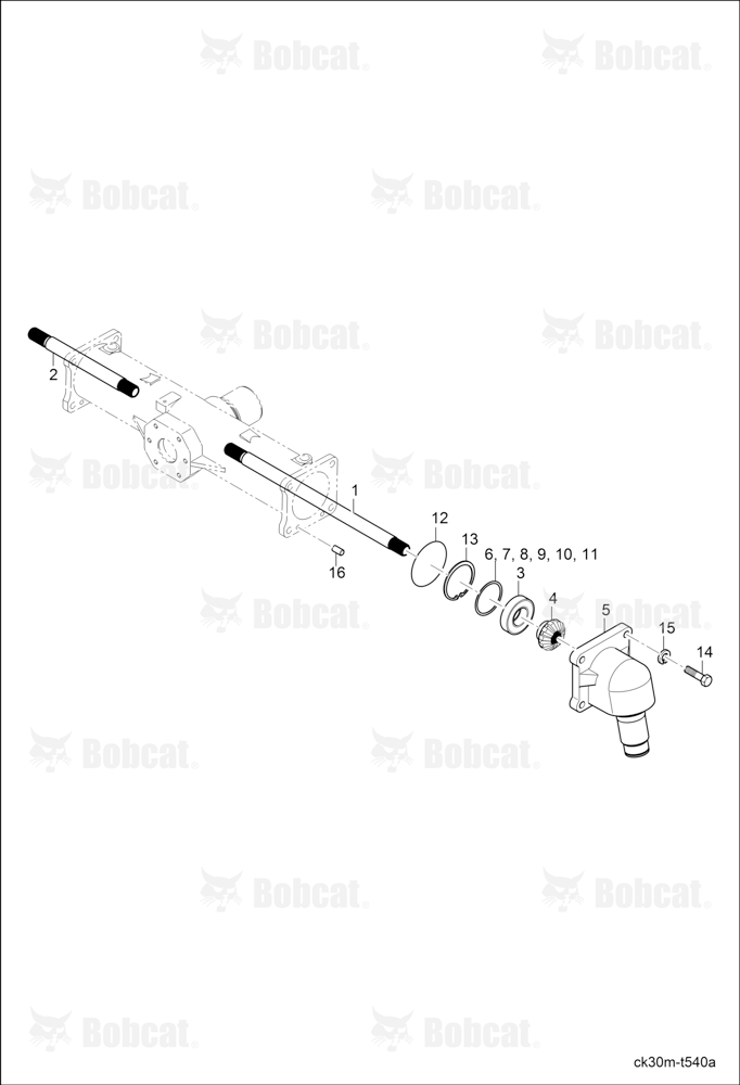 Differential Gear Shaft Group