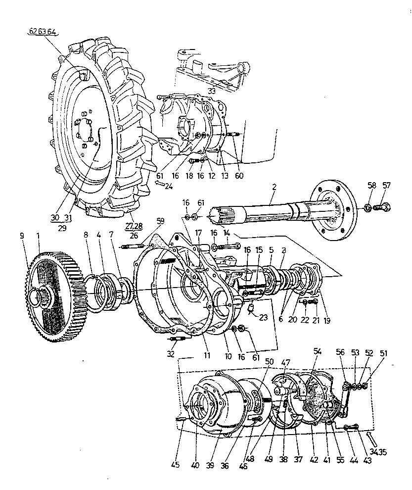 Rear Wheel