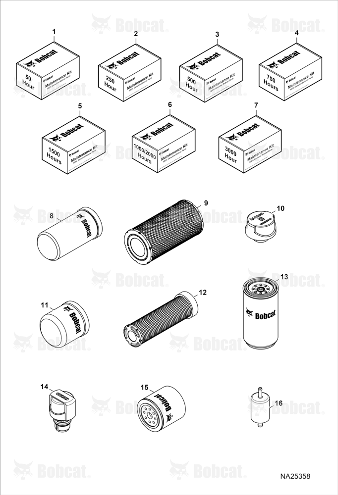 Maintenance Items (Scheduled Maintenance)