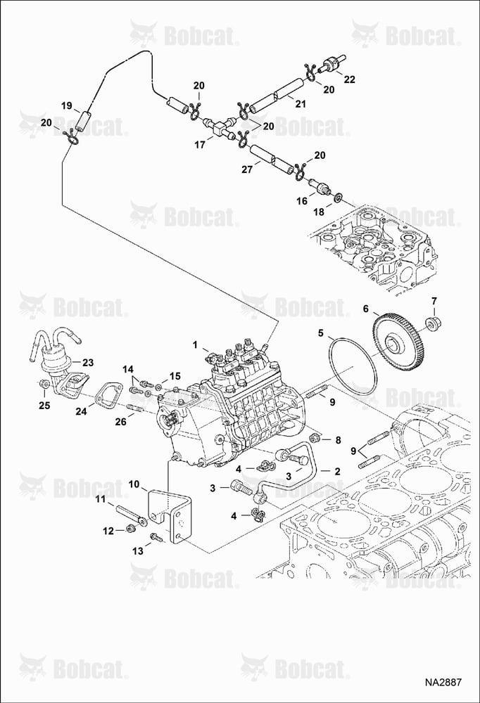 Fuel & Injection Pump