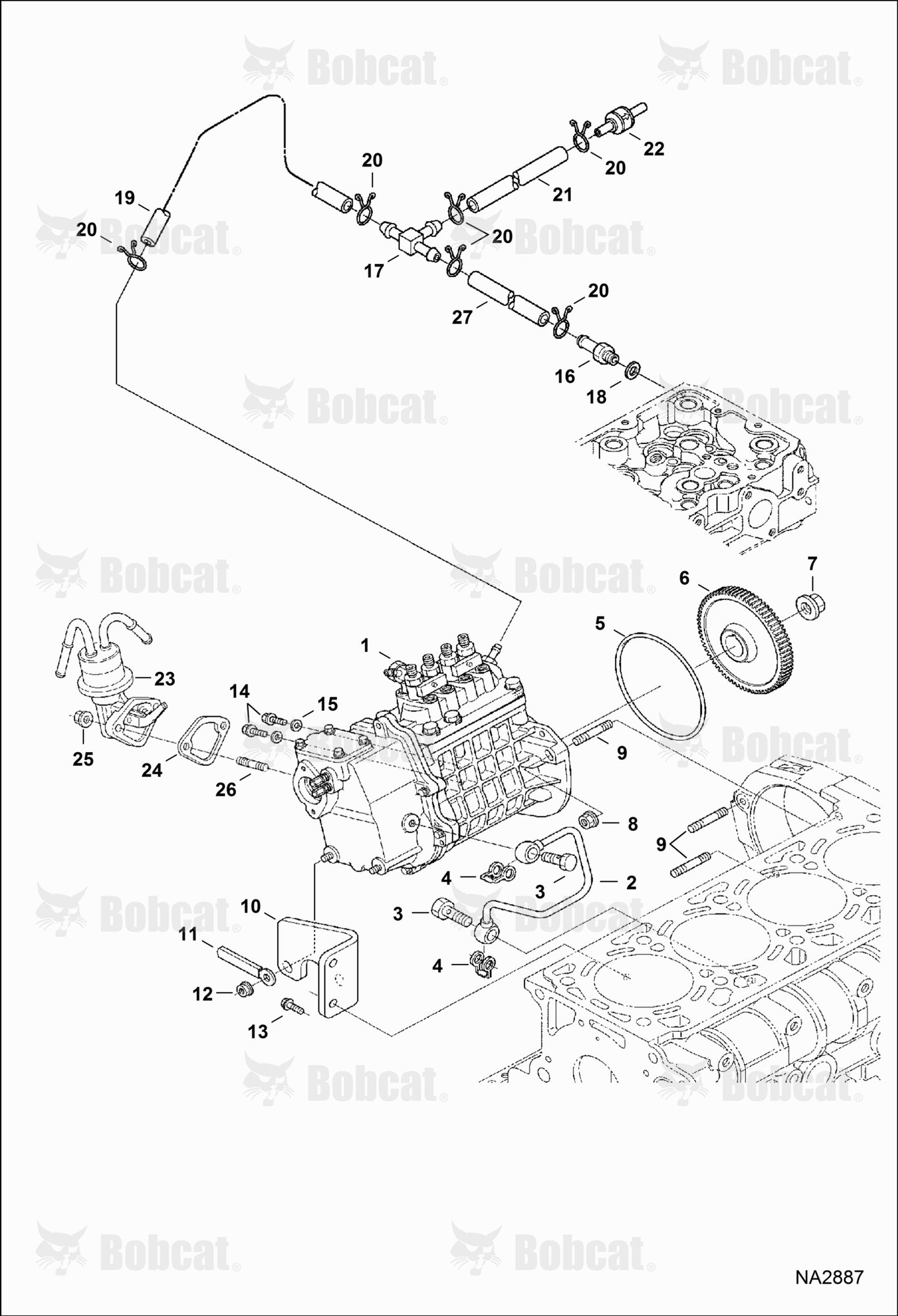 Fuel & Injection Pump