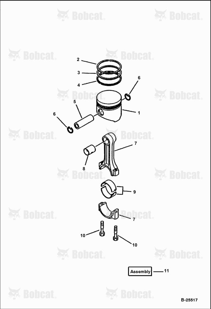 Piston and Connecting Rod