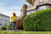 Thumbnail of STIHL HLA 86 Cordless Hedge Trimmer Action