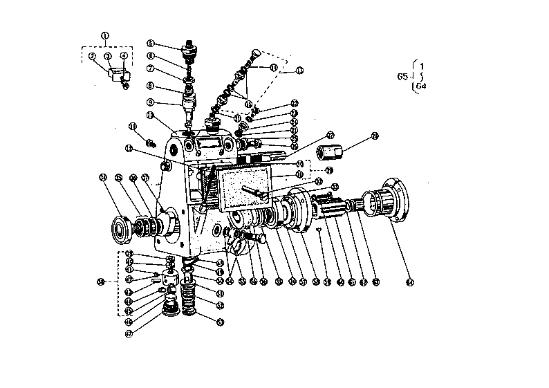Fuel Injection Pump