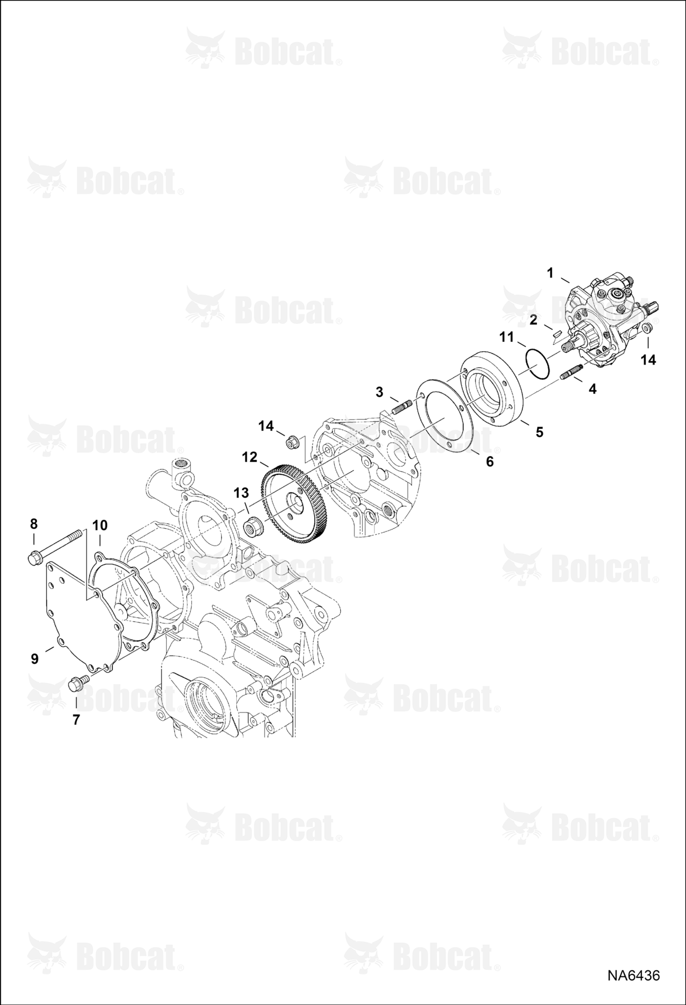 Fuel Injection System (Supply Pump)