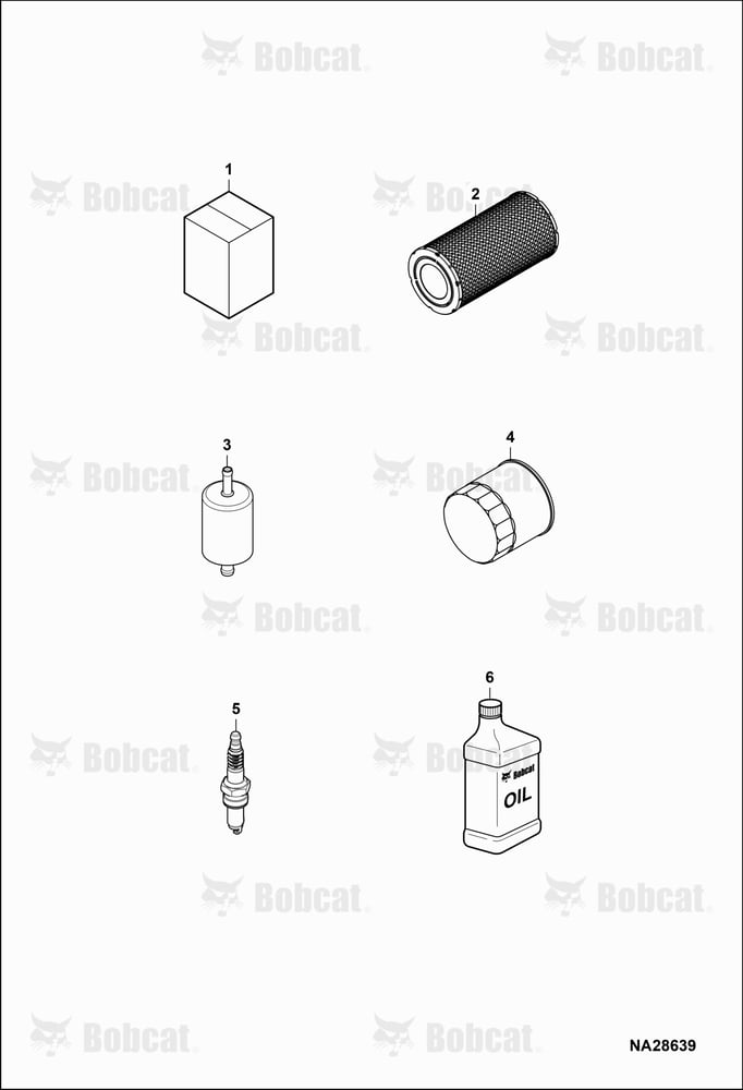 Maintenance Items (Service items)