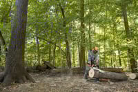 Thumbnail of 113444_MS362CM_Act_3002_SP22_US.jpg