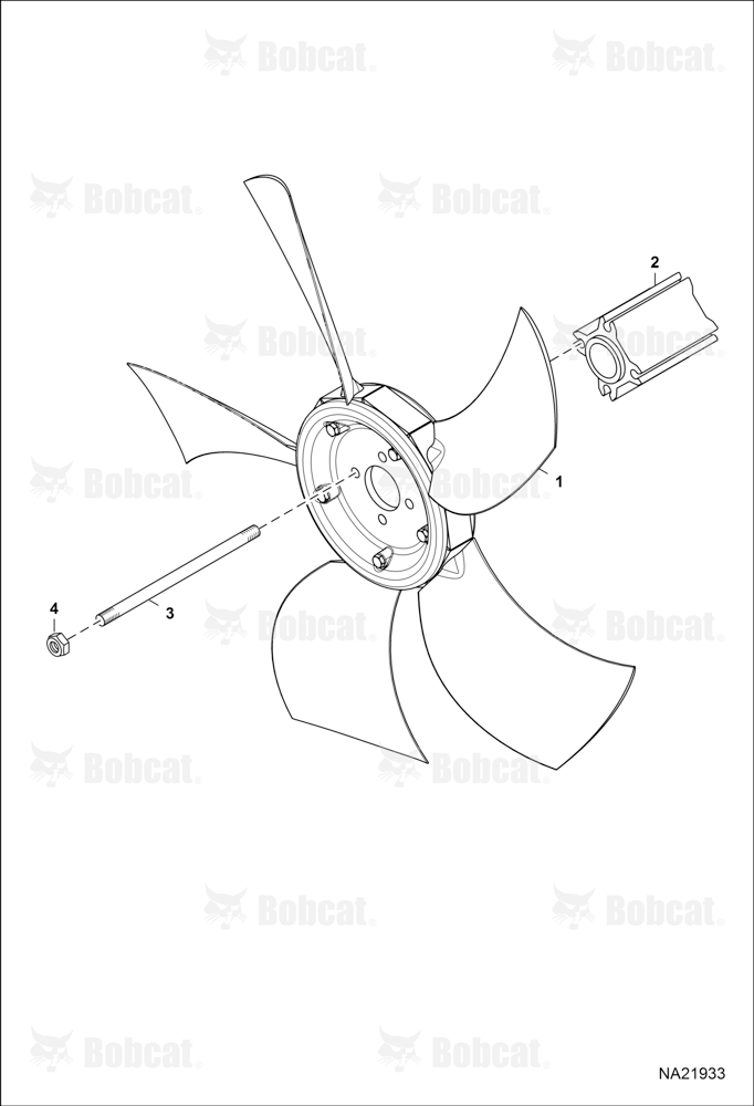 Fan