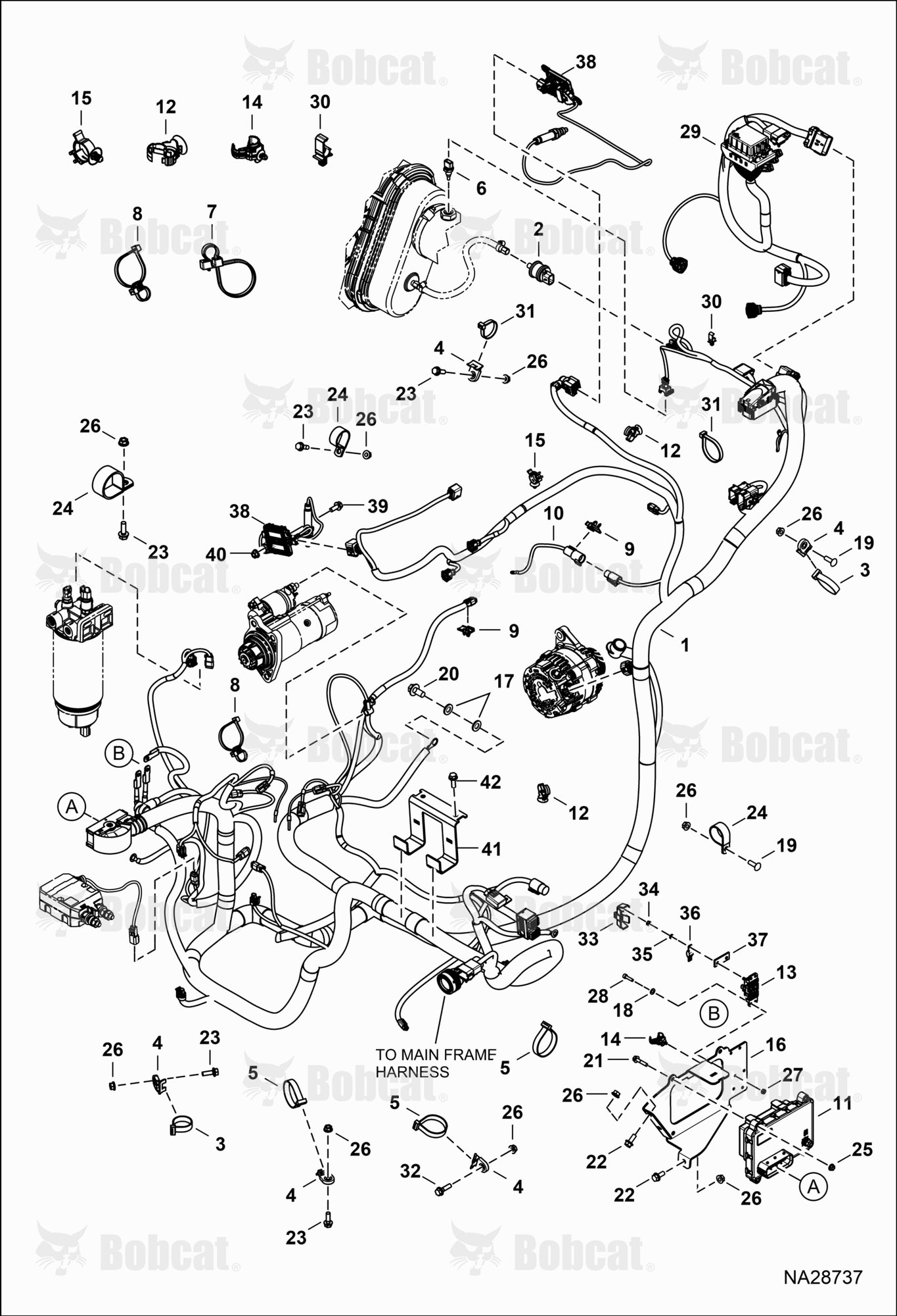 Engine Electrical Circuitry (Harness)