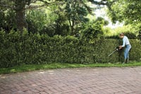 Thumbnail of STIHL HSA 50 Hedge Trimmer SET Action