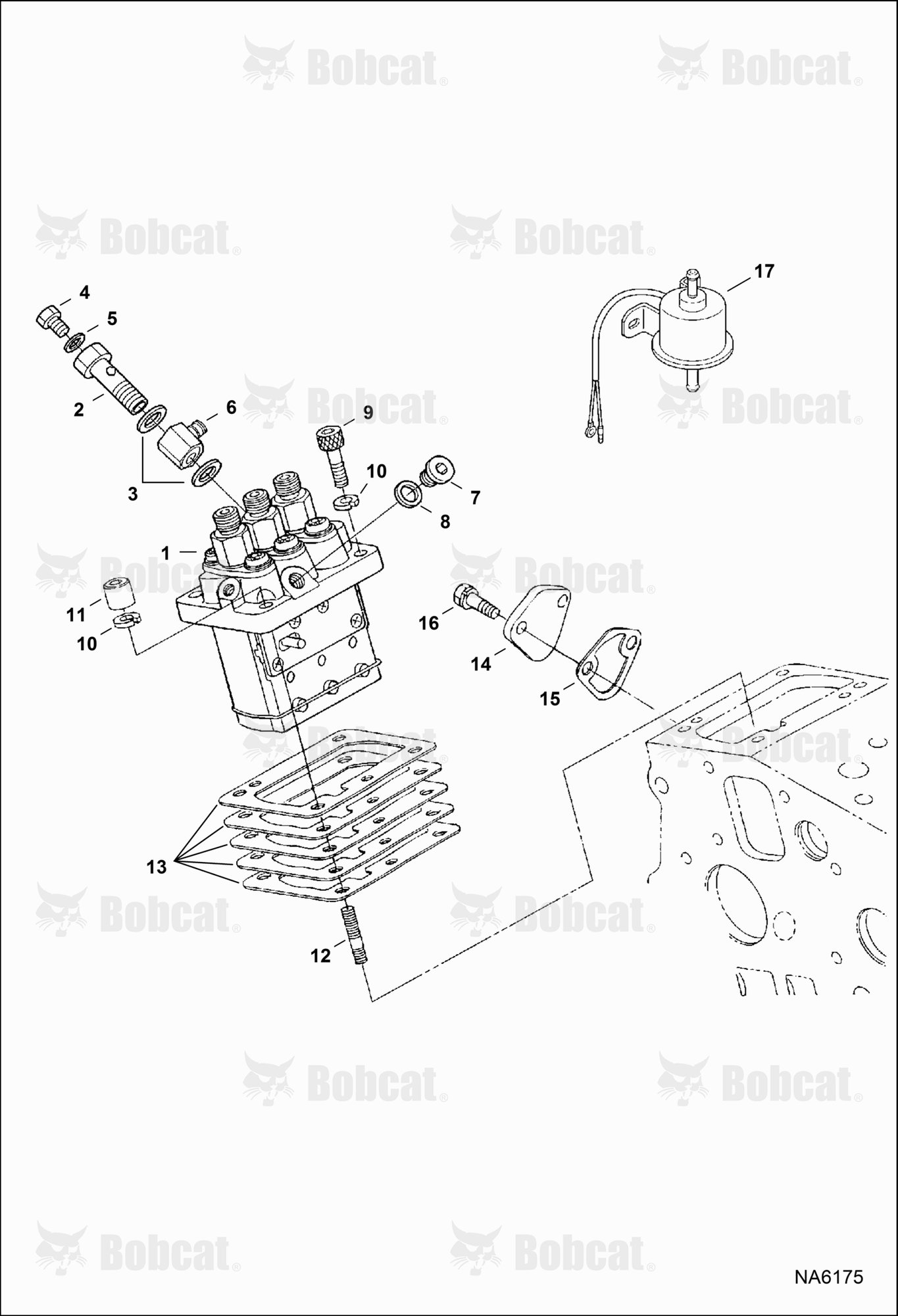 Fuel & Injection Pump