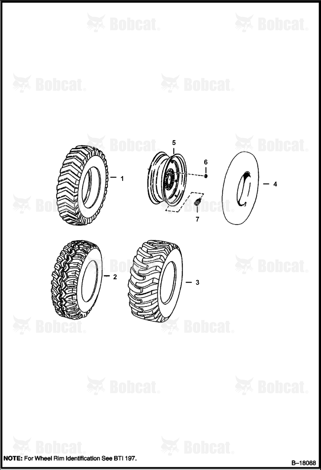 Tires & Rims