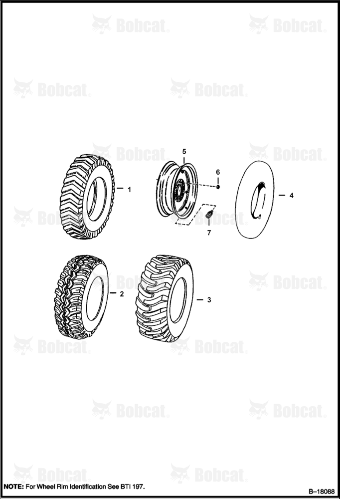 Tires & Rims