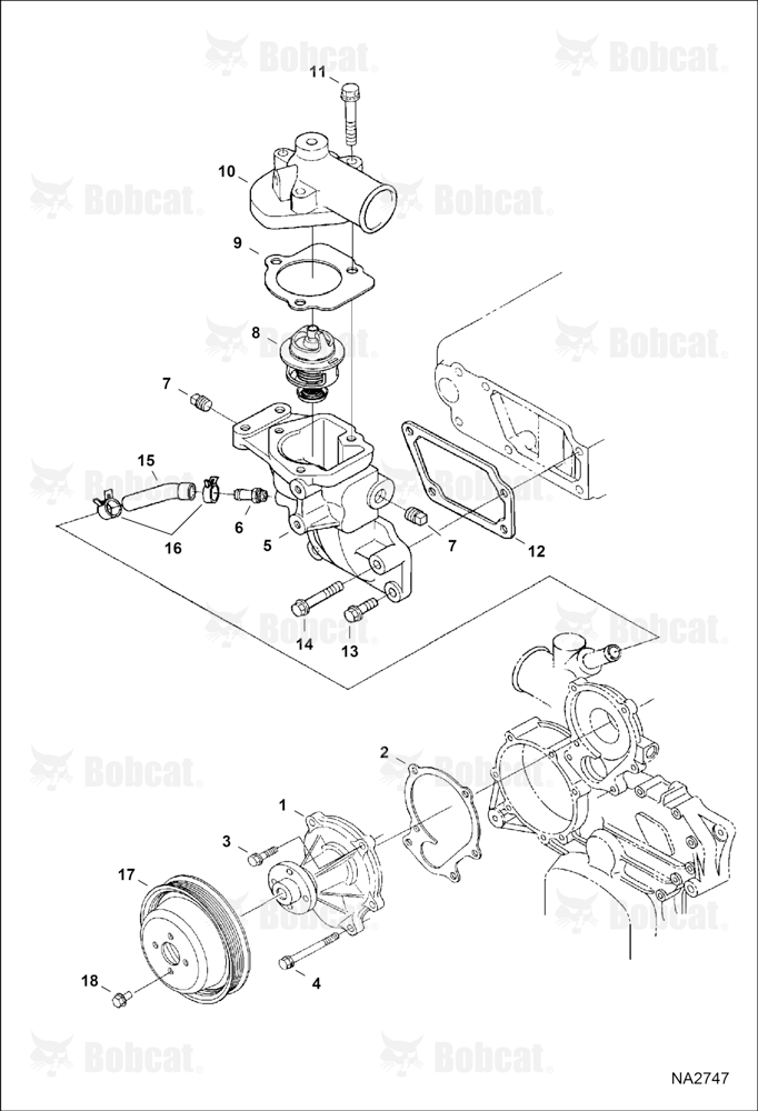 Water Pump & Thermostat