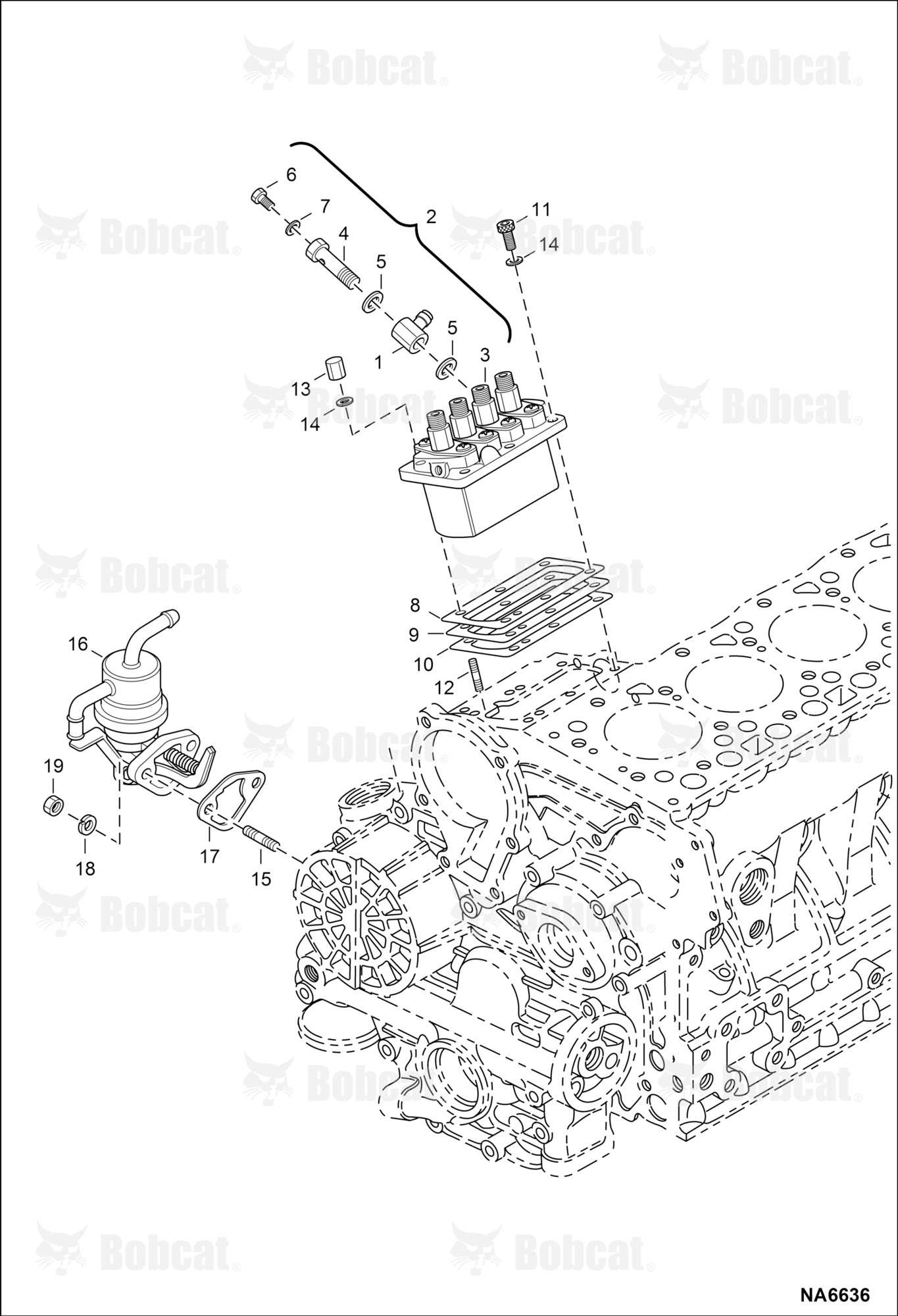 Fuel & Injection Pump