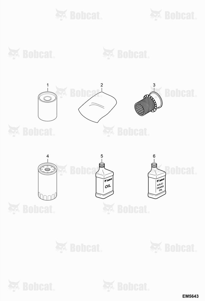 Scheduled Maintenance Items (First 250 Hours)