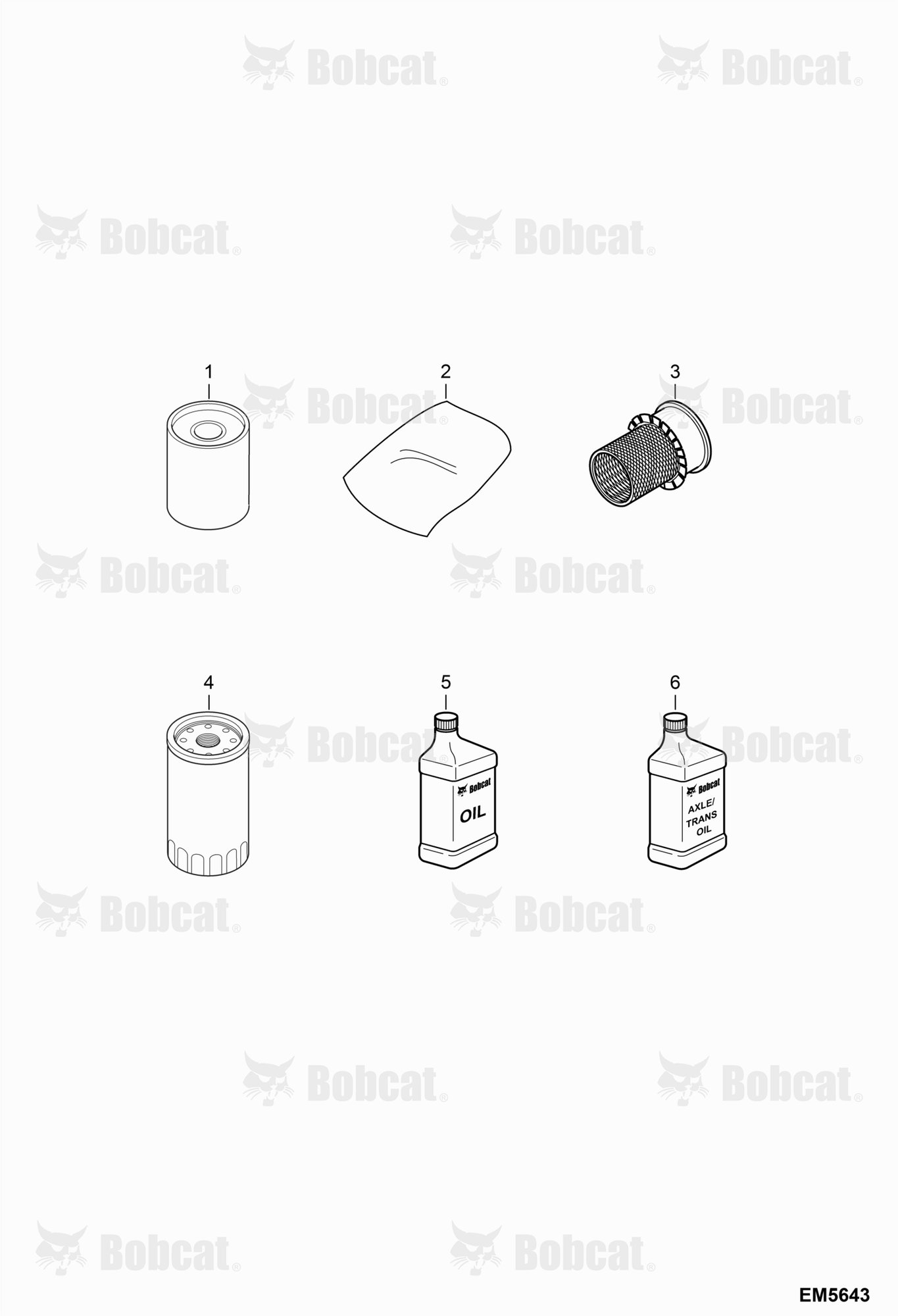 Scheduled Maintenance Items (First 250 Hours)