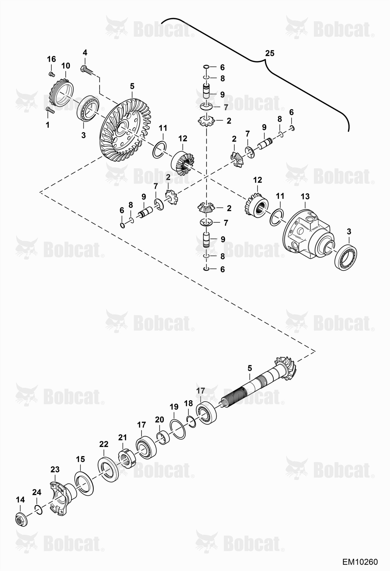 Rear Axle (Differential)