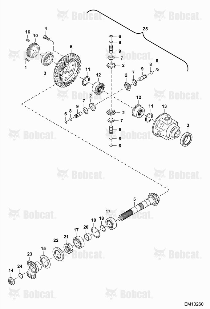Rear Axle (Differential)