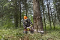 Thumbnail of 89114_MS462CM_Act_3008_SNW21_Global-US.jpg