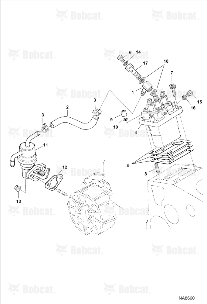 Injection Pump & Fuel Pump
