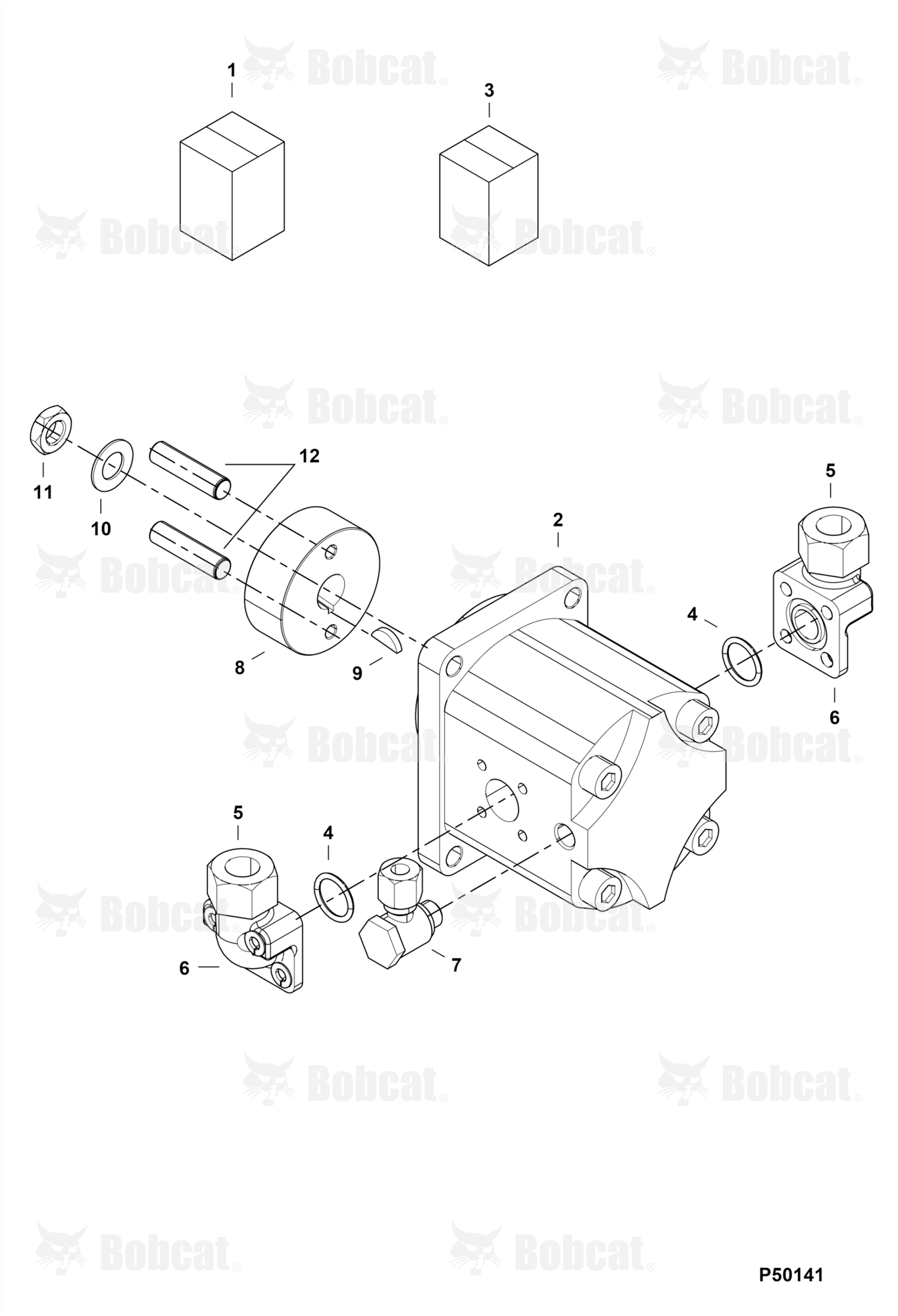 Gear Motor