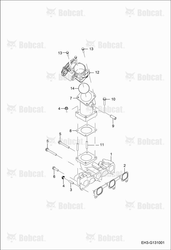 Intake Manifold Group