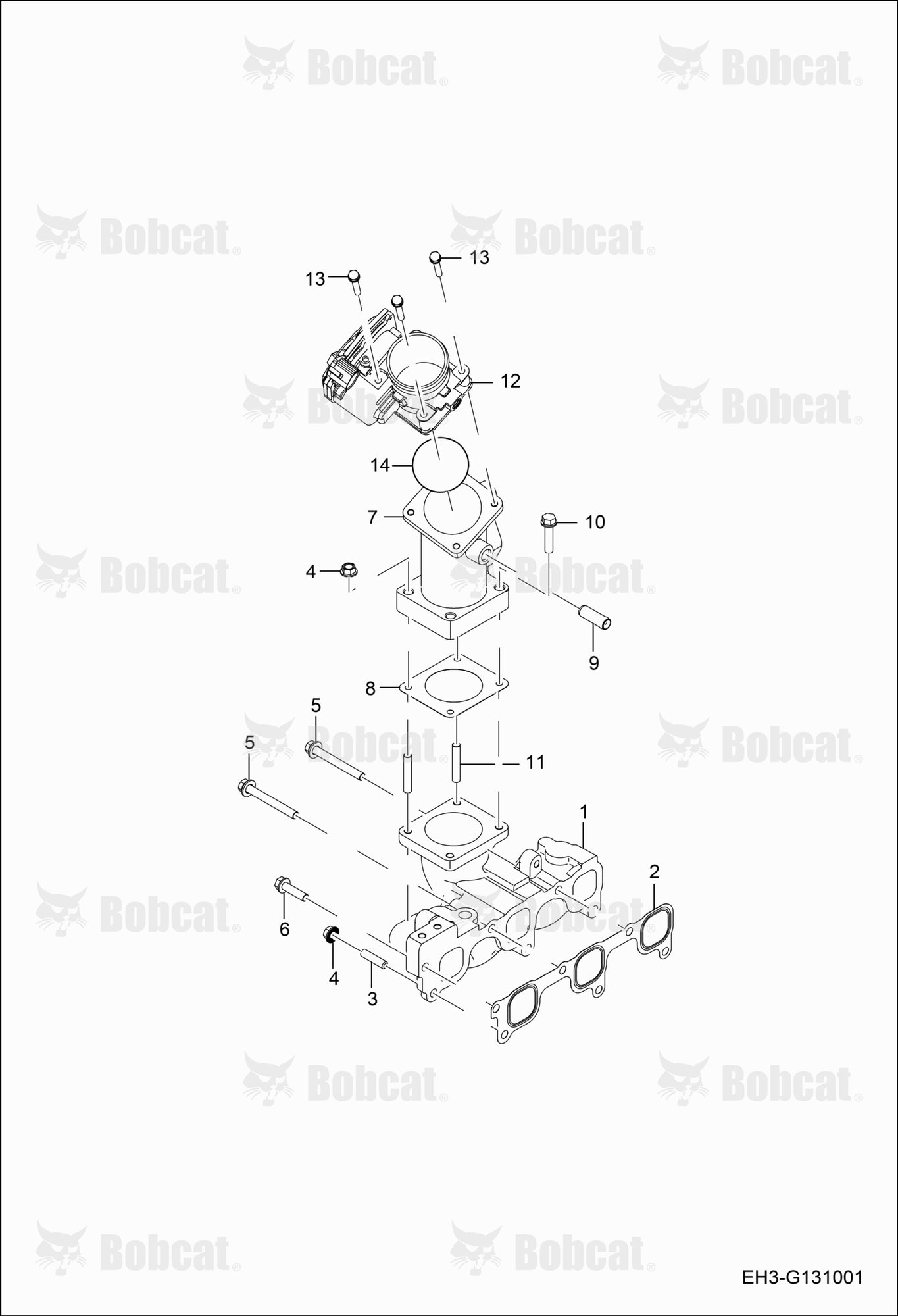 Intake Manifold Group