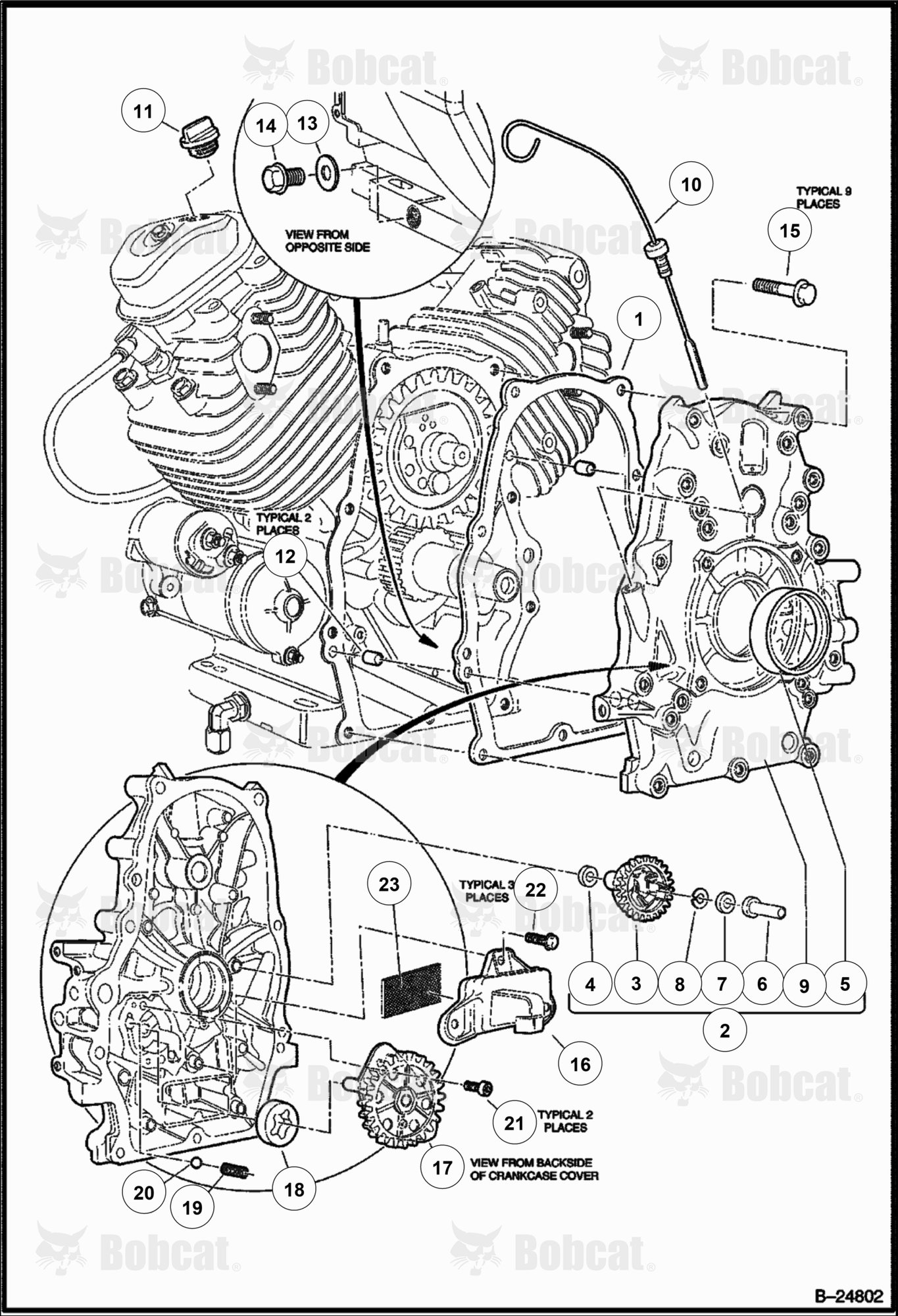 Oil Circulation (HONDA ENGINE)