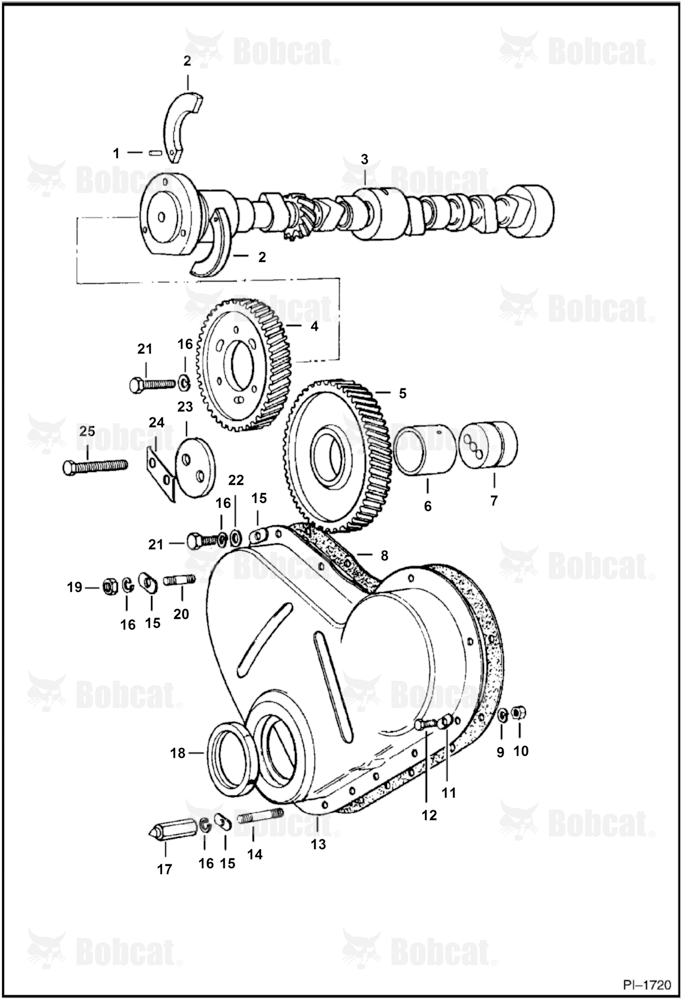 Timing Gear