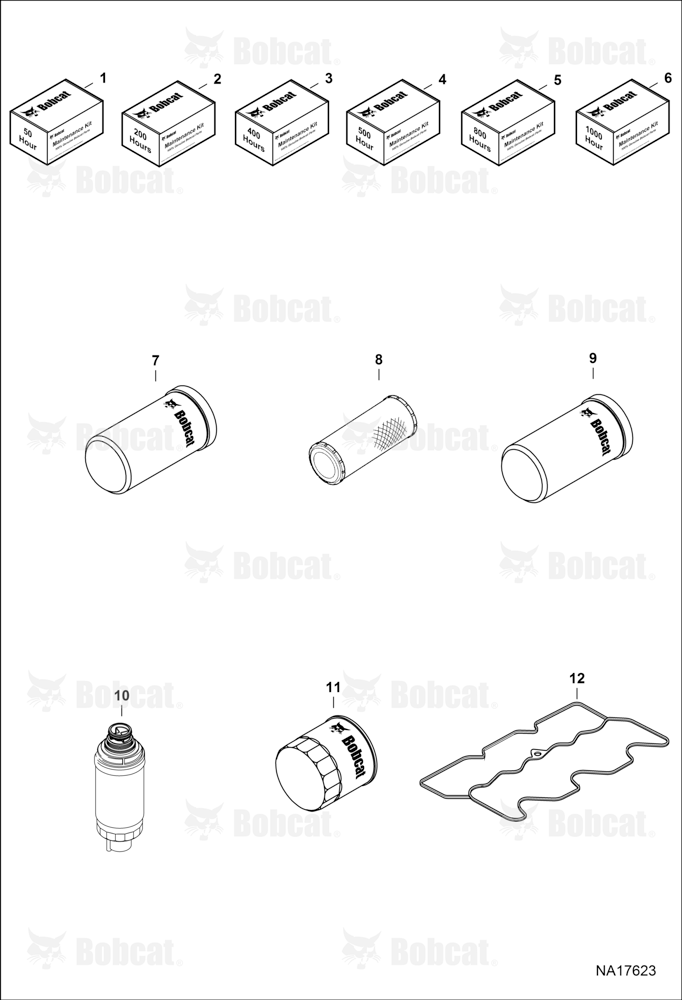 Maintenance Items (Scheduled Maintenance)