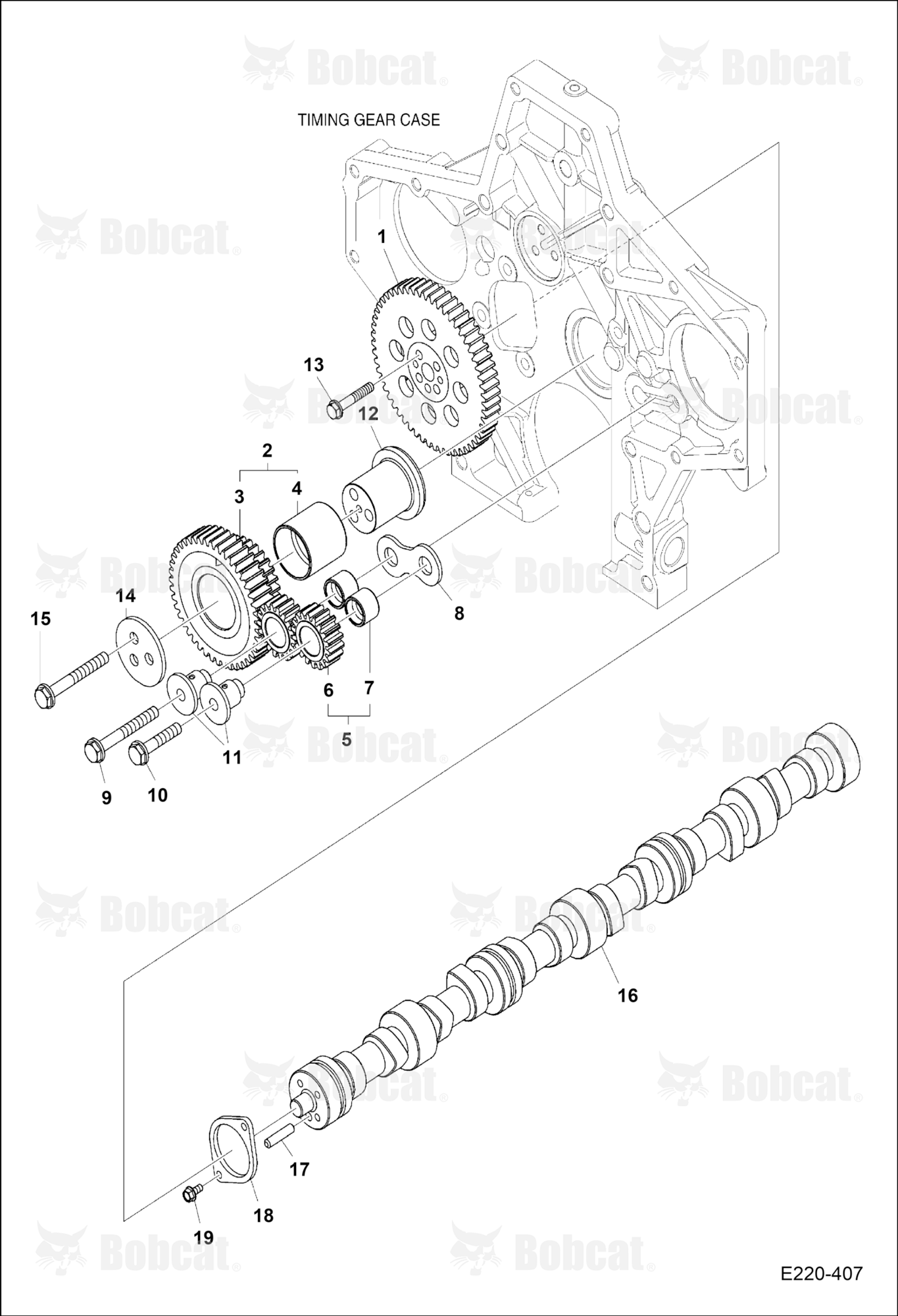 Camshaft Drive
