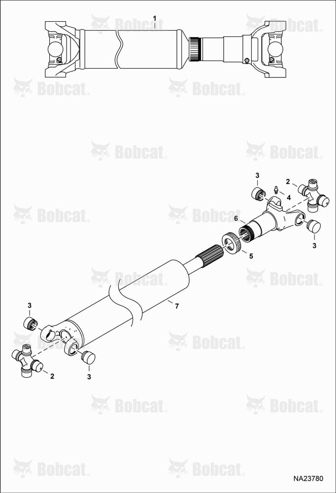 Drive Shaft