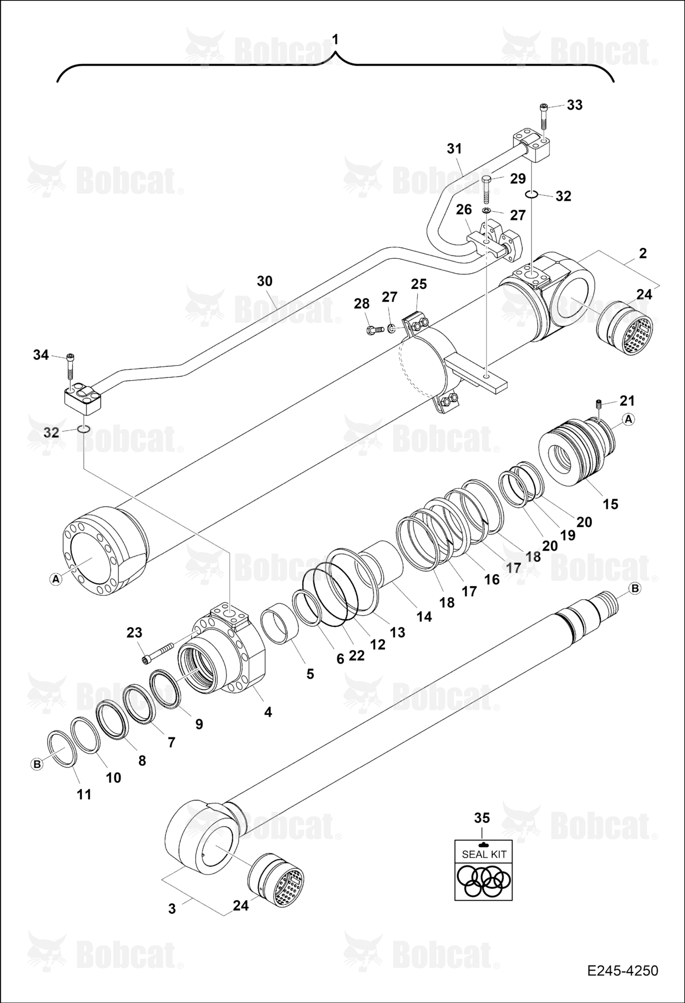 Boom Cylinder (LH)