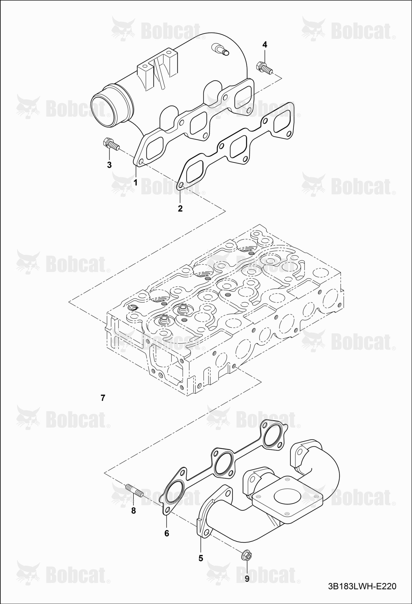 Manifolds